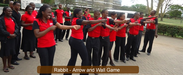 Rabbit arrow and wall game 